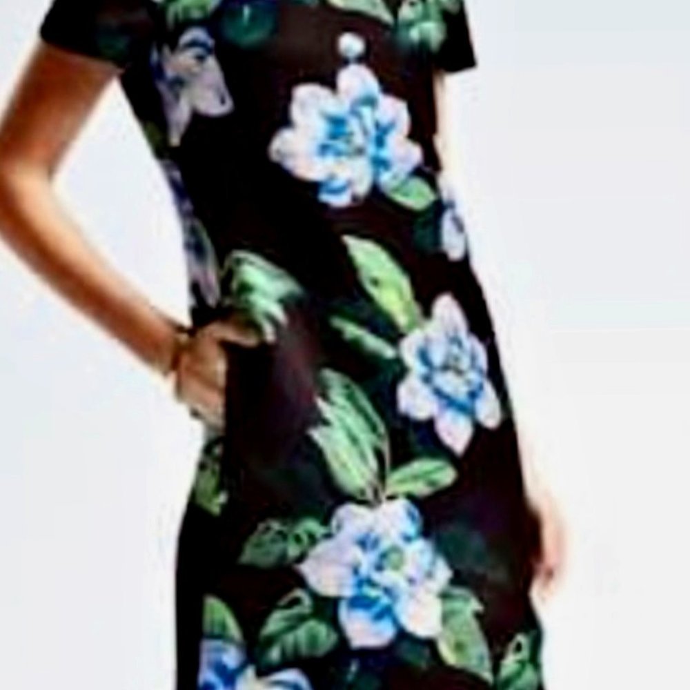 Banana Republic Floral Shift Dress - Size 6